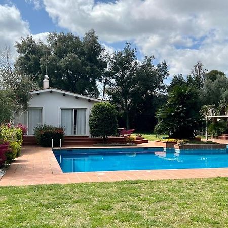 רומא Villette Aldobrandeschi Urban Oasis Vacation Homes מראה חיצוני תמונה