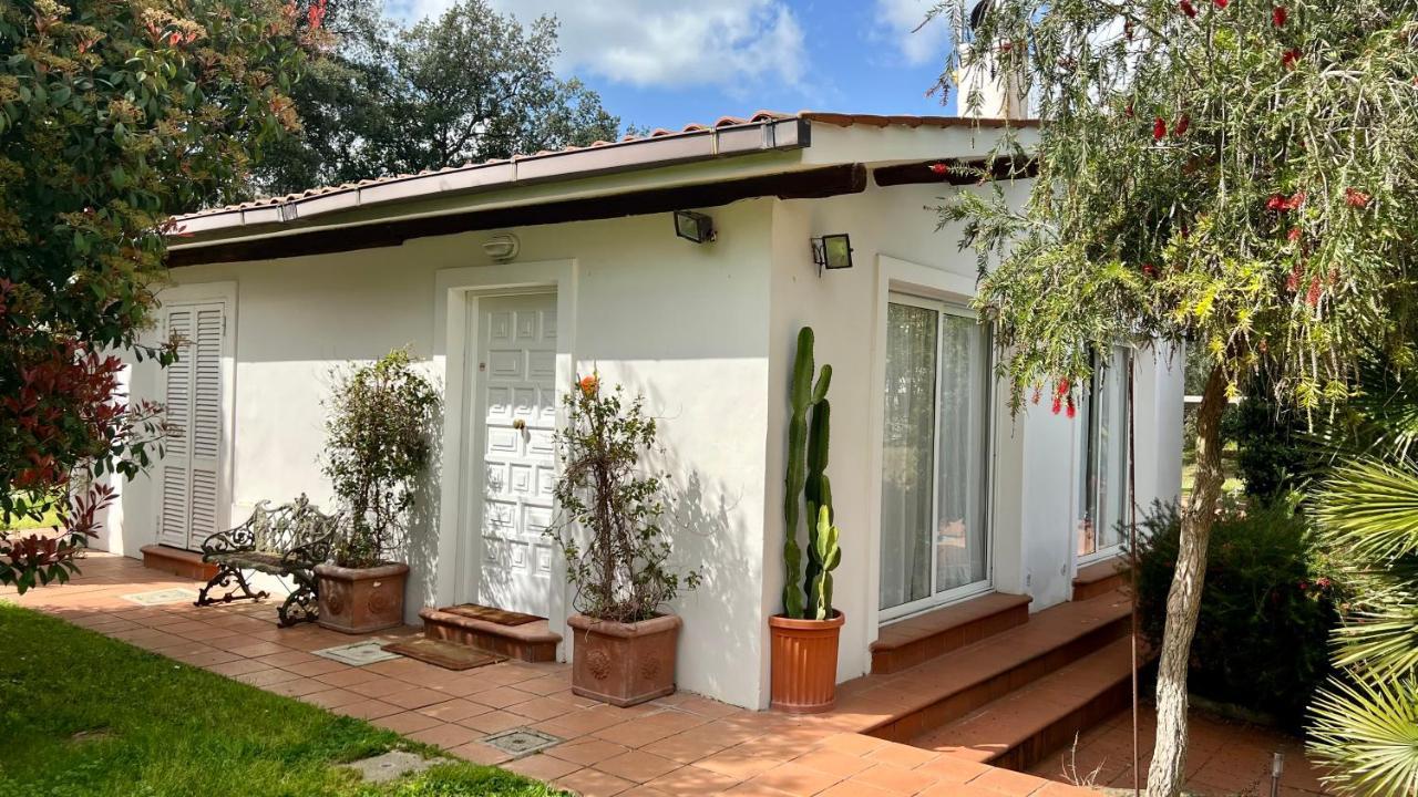 רומא Villette Aldobrandeschi Urban Oasis Vacation Homes מראה חיצוני תמונה